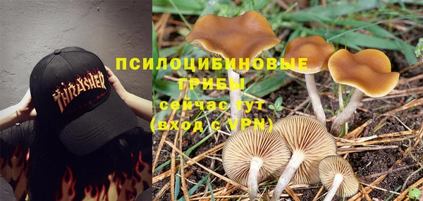 дмт Аркадак