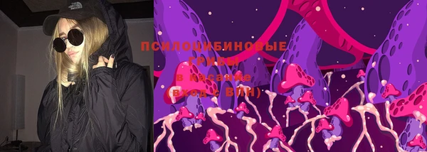 гидра Армянск