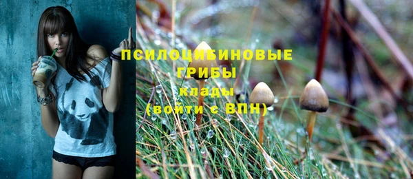 гидра Армянск