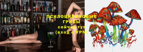 дмт Аркадак