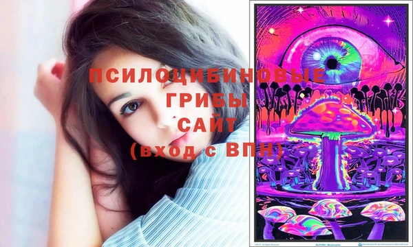 дмт Аркадак